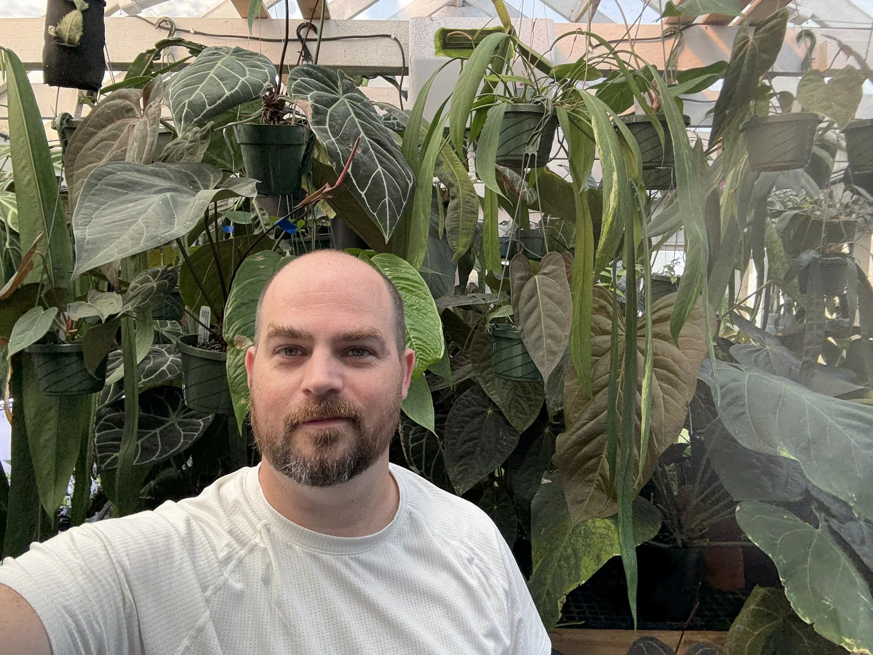 Justin standing in a greenhouse surrounded by mature tropical plants